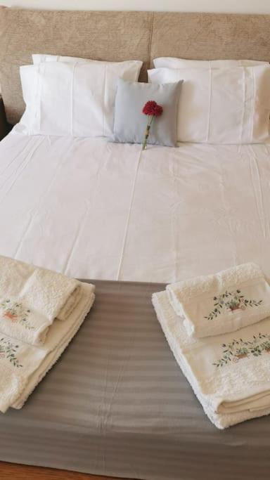 Amazing Lodge By The Ocean - Fully Equipped! Ericeira Exteriör bild