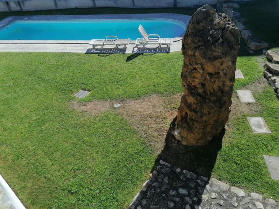 Amazing Lodge By The Ocean - Fully Equipped! Ericeira Exteriör bild